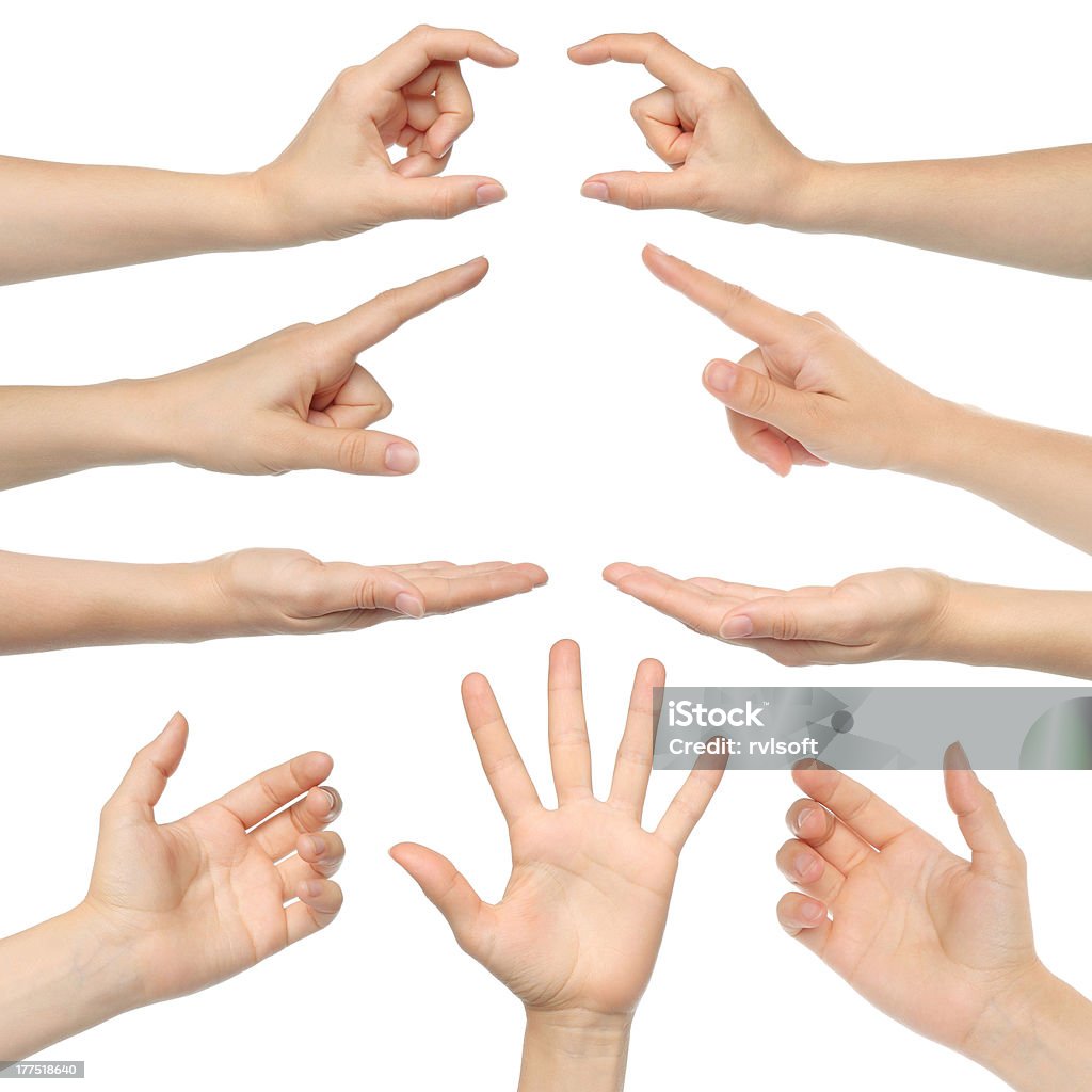 Collage of woman hands Collage of woman hands on white backgrounds Adult Stock Photo