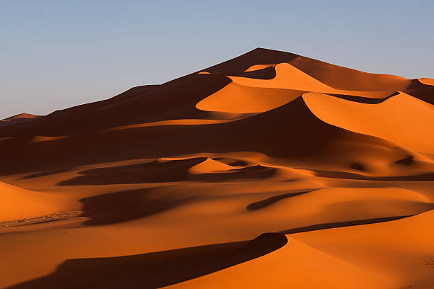 istock Sand dunes in the Sahara desert 177518653