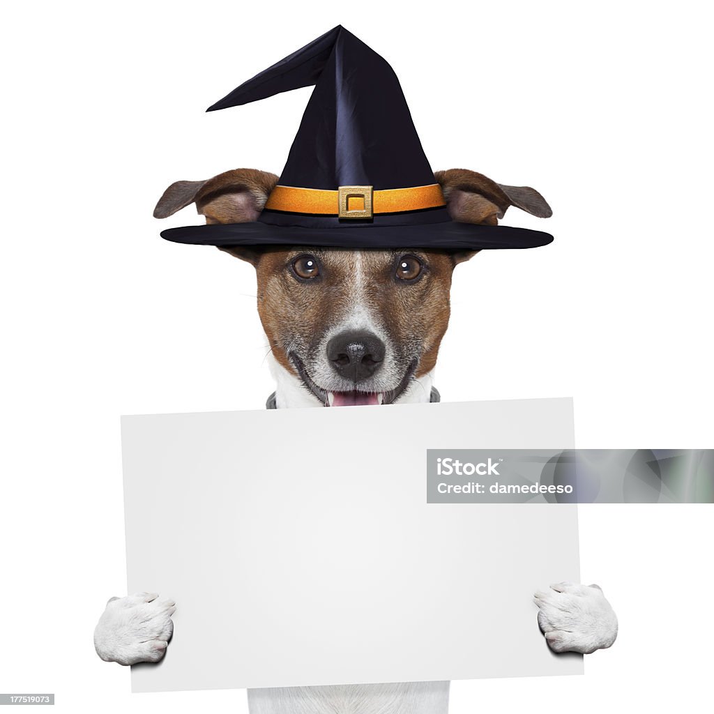 halloween banner cane segnaposto - Foto stock royalty-free di Animale