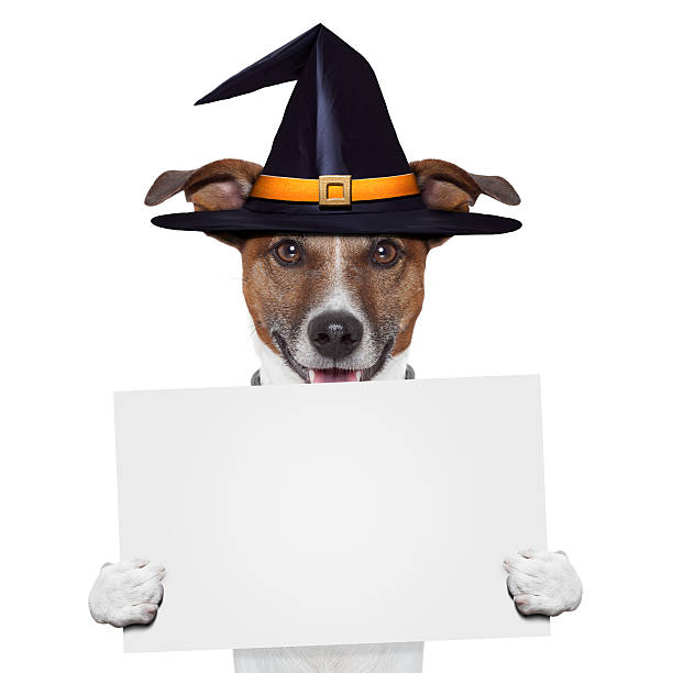 istock halloween placeholder banner dog 177519073
