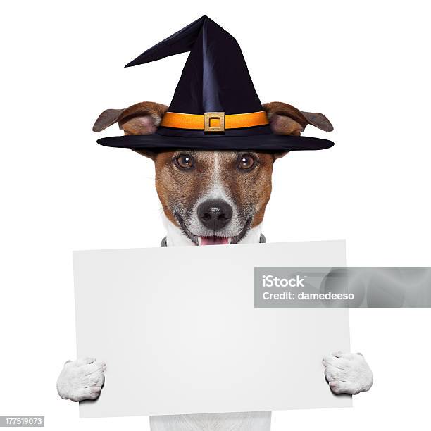 Halloween Symbol Zastępczy Transparent Pies - zdjęcia stockowe i więcej obrazów Baner - Baner, Biały, Czapka