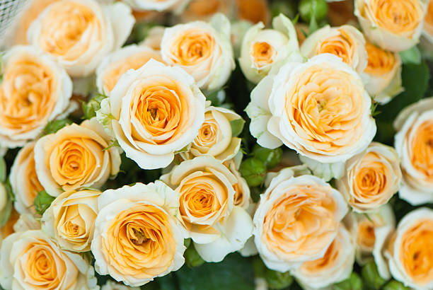 istock bouquet of roses 177519127