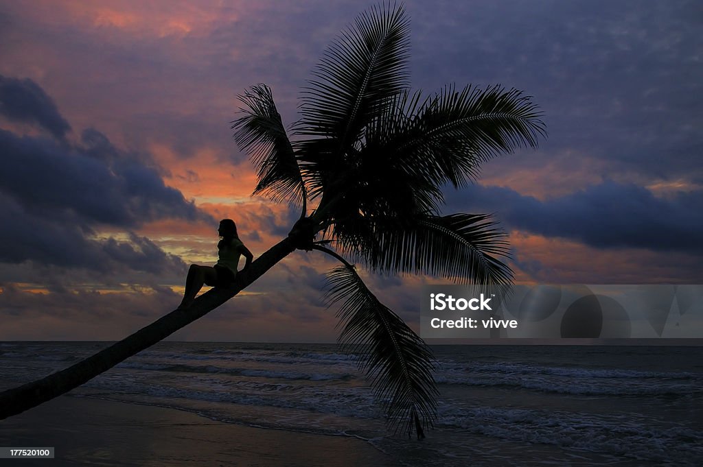 Menina sentada na árvore de palma ao pôr do sol - Royalty-free Adulto Foto de stock