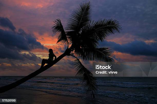 Menina Sentada Na Árvore De Palma Ao Pôr Do Sol - Fotografias de stock e mais imagens de Adulto - Adulto, Anoitecer, Areia