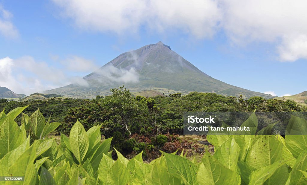 Vulcano di Pico Azzorre, Isole 01 - Foto stock royalty-free di Isola di Pico - Azzorre