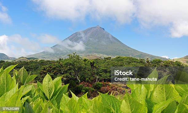 Vulcano Di Pico Azzorre Isole 01 - Fotografie stock e altre immagini di Isola di Pico - Azzorre - Isola di Pico - Azzorre, Ambientazione esterna, Arcipelago
