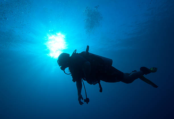 istock Silhouette of diver with sun disk behind 177520409