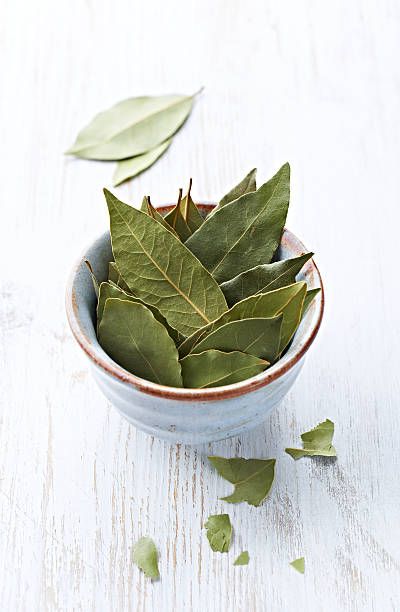 istock Bay leaves in a bowl 177520617