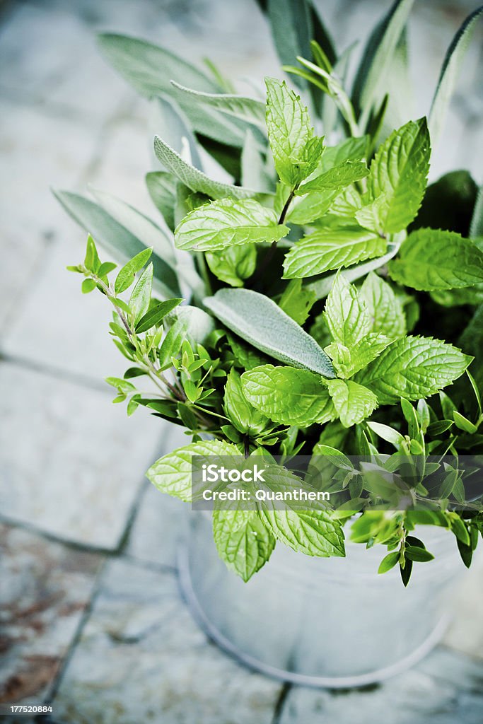 Mixed fresh herbs Mixed fresh herbs in zinc container Color Image Stock Photo