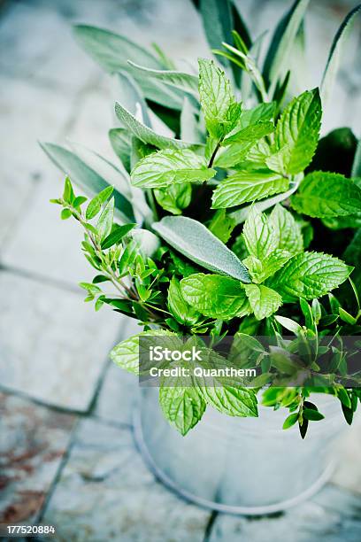 Mixed Fresh Herbs Stock Photo - Download Image Now - Color Image, Container, Day