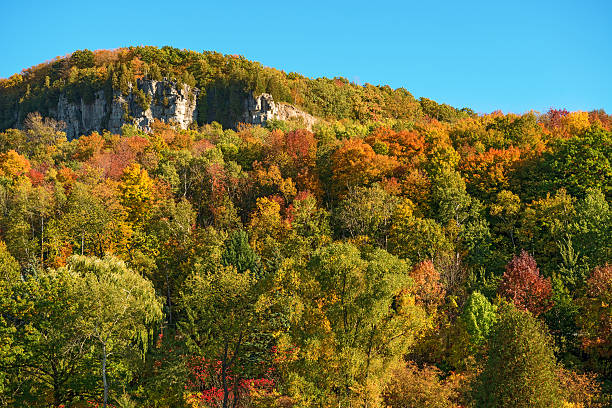 istock Fall in Glen Eden conservation area Milton, Ontario 177521699