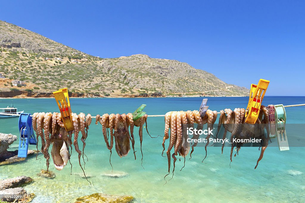 Drying octopus arms in a fishing port of Plata "Drying octopus arms in a fishing port of Plata on Crete, GreeceOther gallerys:" Aegean Sea Stock Photo