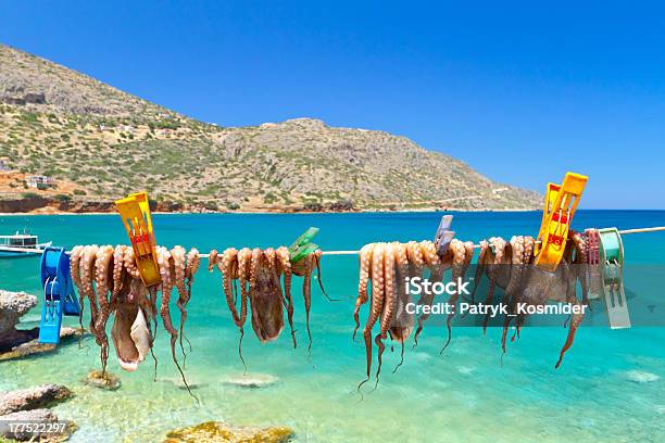 Drying Octopus Arms In A Fishing Port Of Plata Stock Photo - Download Image Now - Aegean Sea, Animal, Animal Arm