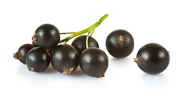 Blackcurrants isolated on white background