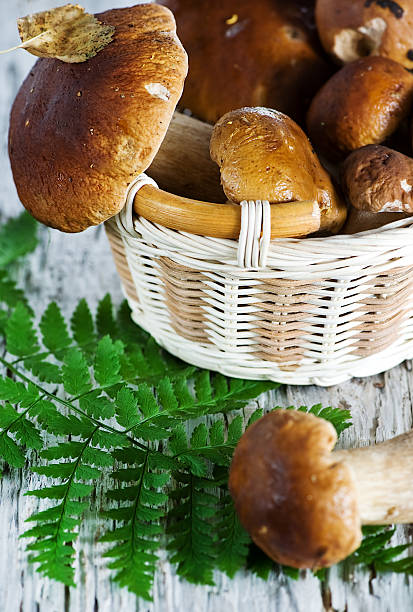 istock Mushrooms on the basket 177523853