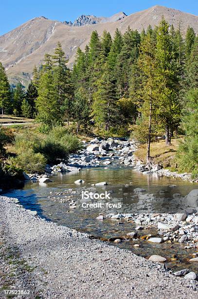 Photo libre de droit de Rivière De Montagne banque d'images et plus d'images libres de droit de Abrupt - Abrupt, Alpes européennes, Arbre