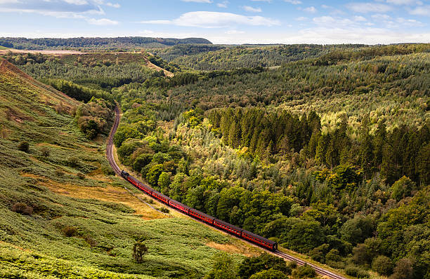 istock Steam train, North York Moors, Yorkshire, UK 177523986