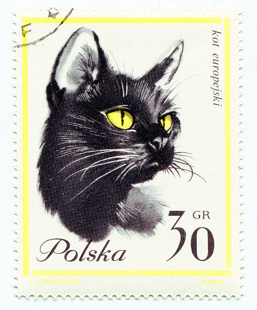 istock European cat on a vintage, canceled post stamp from Poland 177525042