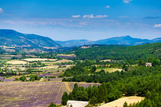 Provence landscape with lavender field and mountains. View from Belvedere de Saint Jean viewing point, Sault region, Vaucluse nature in France.