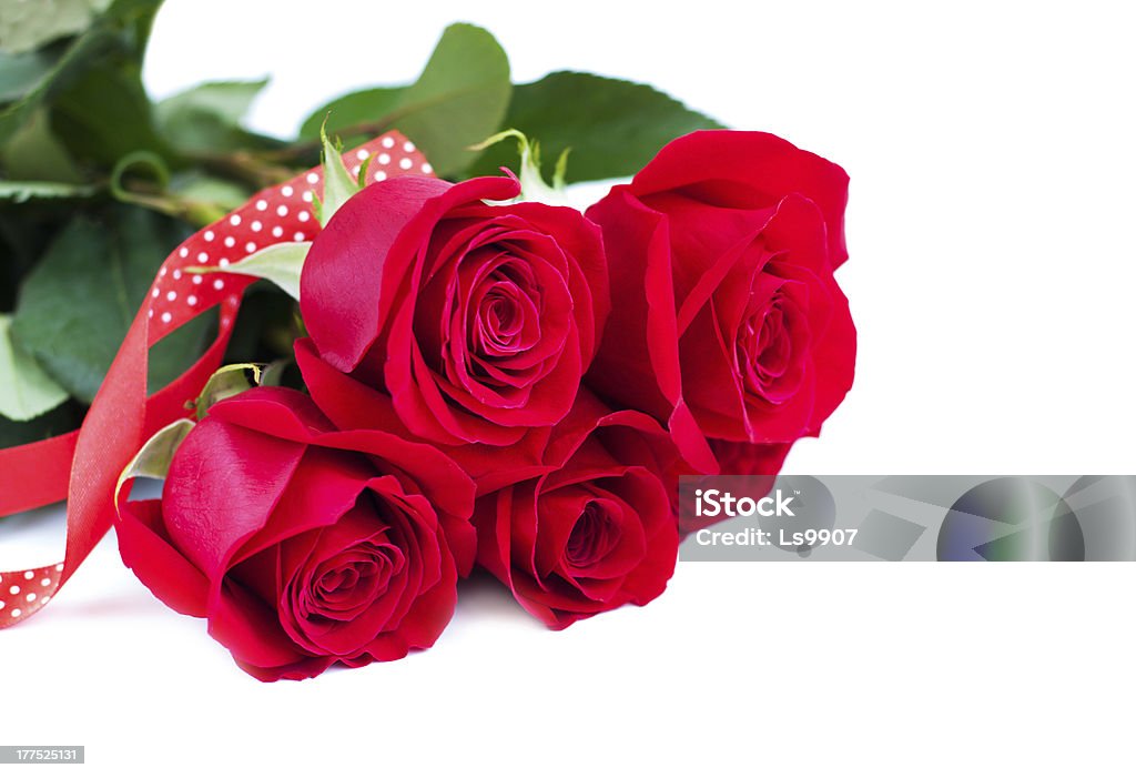 Bouquet de rosas vermelhas - Royalty-free Beleza natural Foto de stock