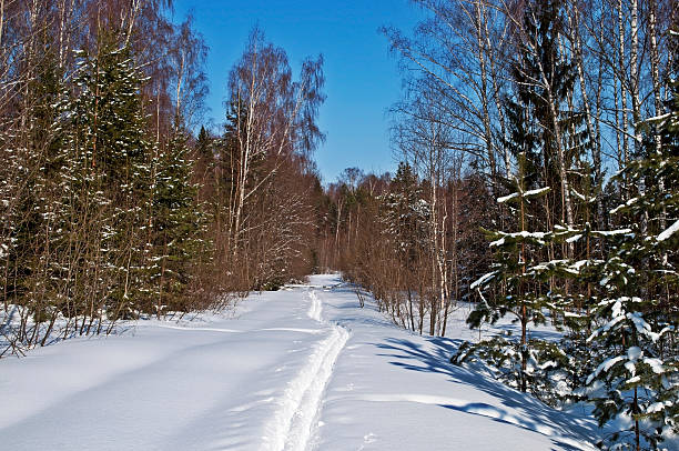冬にスキーコースの森 - rural scene russia ski track footpath ストックフォトと画像