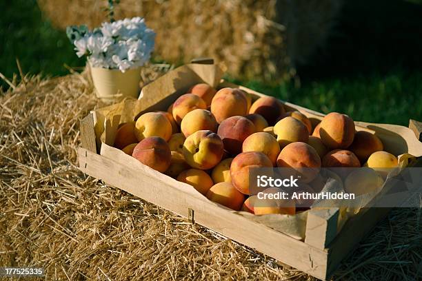 Peaches In The Box — стоковые фотографии и другие картинки Горизонтальный - Горизонтальный, Деликатес, Еда