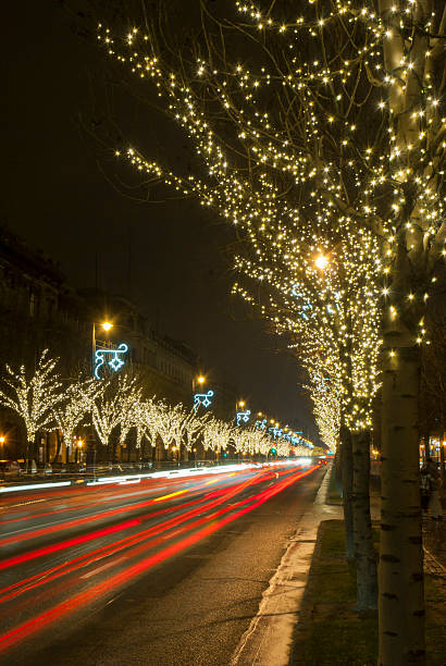 istock Christmas light bulb garlands on a row of trees 177525977