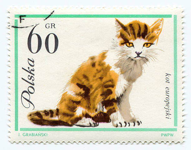 istock European cat on a vintage, canceled post stamp from Poland 177526090