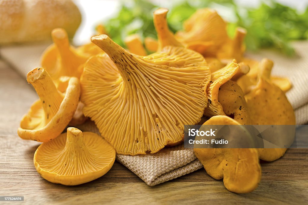Лисичка грибами - Стоковые фото Вегетарианское питание роялти-фри