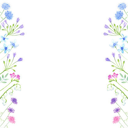 Frame of flowerspainted by watercolors