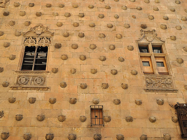 istock Casa de las Conchas in Salamanca 177526792