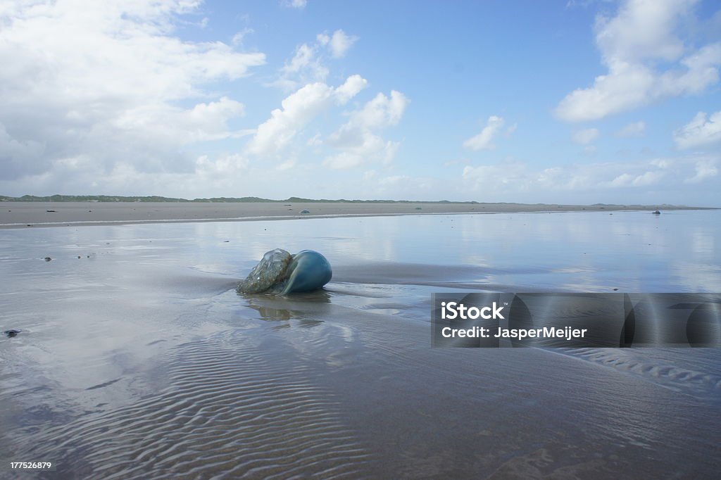 Gelatina de pescado azul - Foto de stock de Aire libre libre de derechos