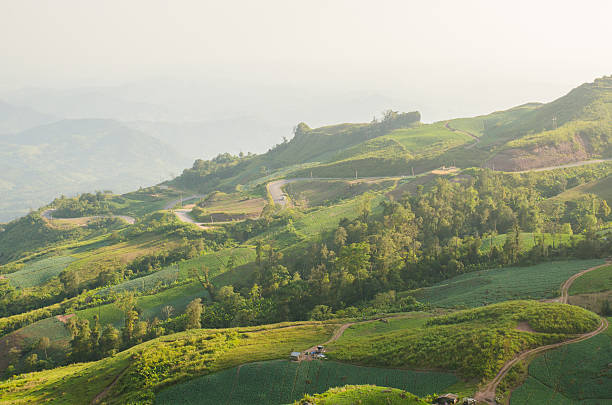 istock Gabbage Fields at Eastern Mountain of Thailand 177526935