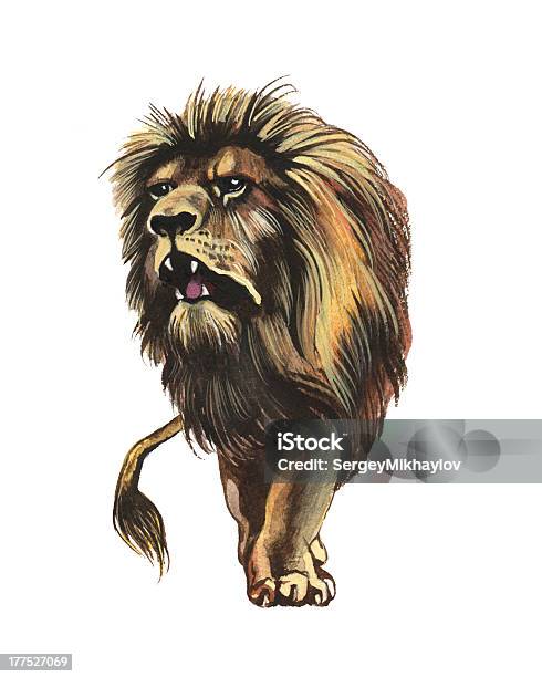 African Lion Stock Illustration - Download Image Now - Africa, Animal,  Animal Mane - iStock
