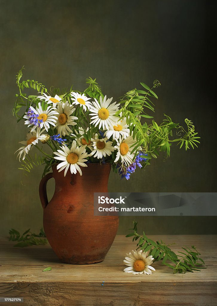 Still life with a bouquet of daisies Still Life Stock Photo