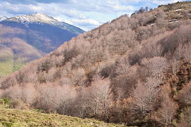 istock fall mountain in Picos de Europa 177527571