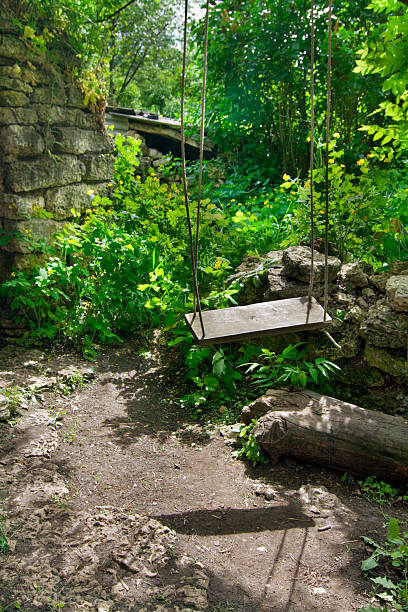 istock Single Swing Tied to an Birch  Tree 177527598