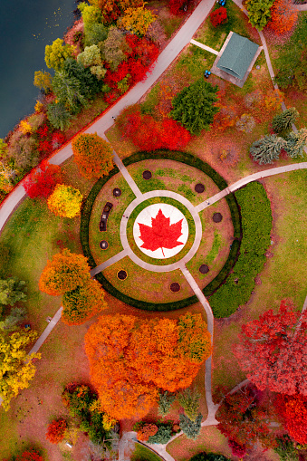 Aerial Canada Toronto in High Park. Maple leaf in Canadian flag decorated with flowers in a park.