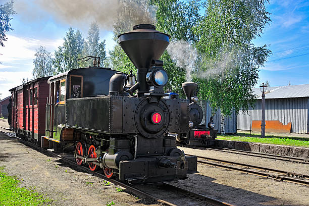 istock Narrow gauge steam train. 177527627