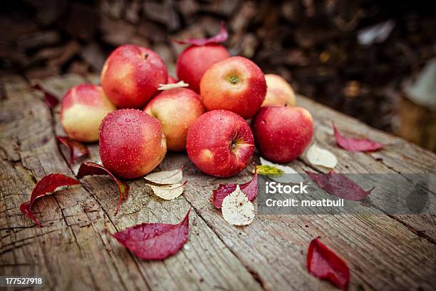 Maçãs Automn - Fotografias de stock e mais imagens de Beleza - Beleza, Comida e Bebida, Folha