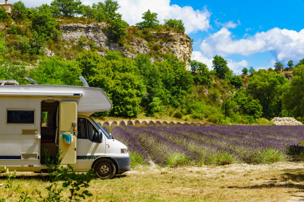 istock Caravan camping at lavender field, France 1775281500