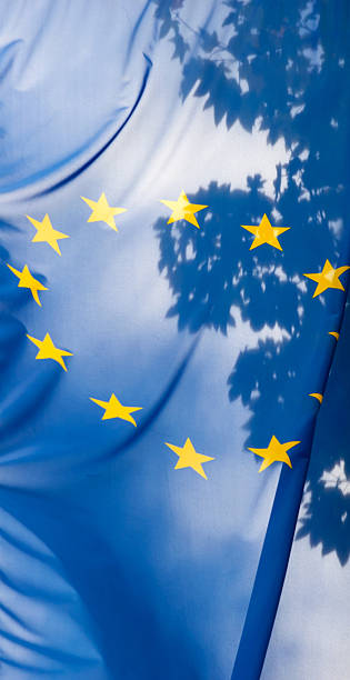 bandeira da união europeia contra o céu e folhas - european union flag european community photography textured effect imagens e fotografias de stock