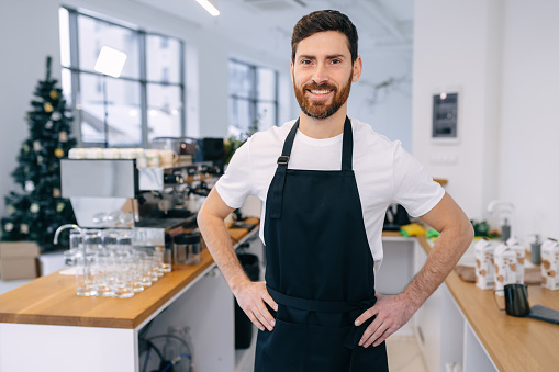 small business, people and service concept - happy man or waiter in apron at bar or cafe.