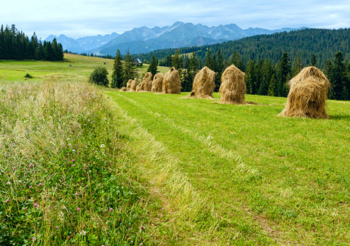heybales in the france countryside