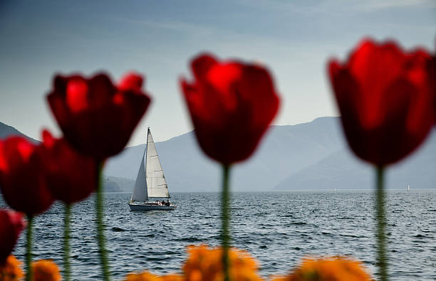 Sailing boat on an alpine lake stock photo