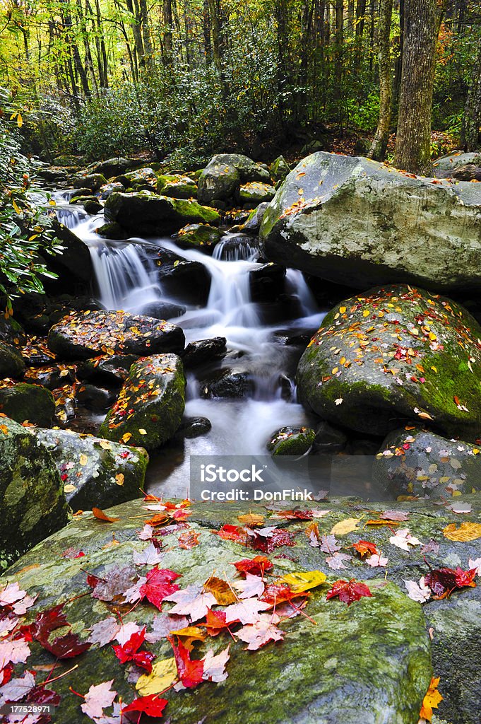 Cascada en las montañas humeantes - Foto de stock de Actividad libre de derechos