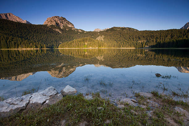 istock mountain and fir forest reflection in the lake 177529246