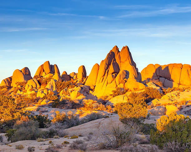 istock Rocks in Joshua Tree National Park 177530155