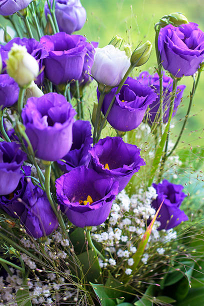 istock Close-up bouquet of violet flowers 177530757
