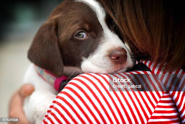 Little Girl With Puppy Stock Photo - Download Image Now - Dog, Sadness, Fear